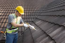 Best Sheet Metal Roofing  in Mascotte, FL